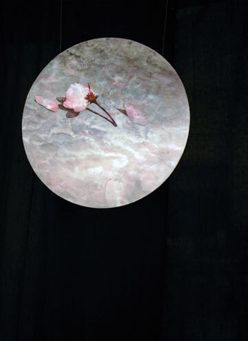 R1010471.jpg