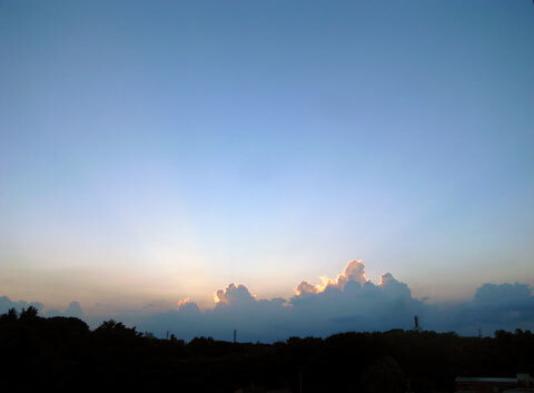 R1018567.jpg