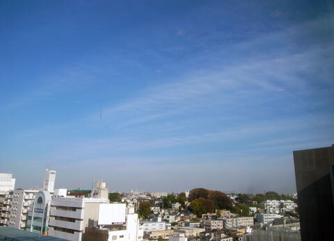 R1019065.jpg